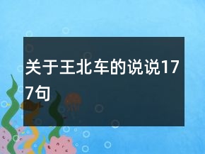 關(guān)于王北車的說(shuō)說(shuō)177句
