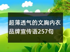 超薄透氣的文胸內(nèi)衣品牌宣傳語257句