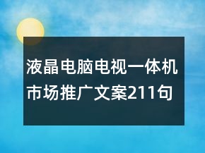液晶電腦電視一體機(jī)市場(chǎng)推廣文案211句
