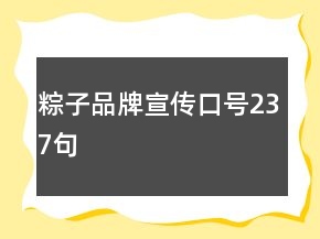 粽子品牌宣傳口號237句