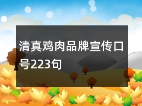 清真雞肉品牌宣傳口號(hào)223句