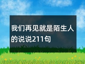 我們再見就是陌生人的說說211句