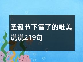 圣誕節(jié)下雪了的唯美說說219句