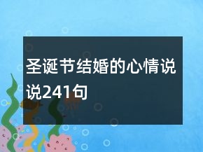 圣誕節(jié)結(jié)婚的心情說說241句