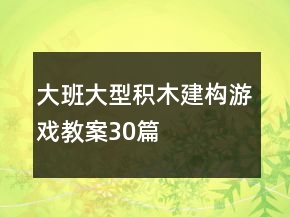 大班大型積木建構(gòu)游戲教案30篇