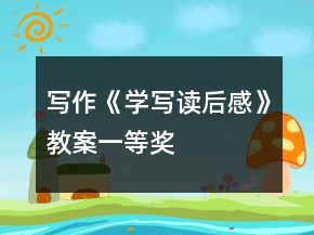 寫作《學(xué)寫讀后感》教案一等獎(jiǎng)