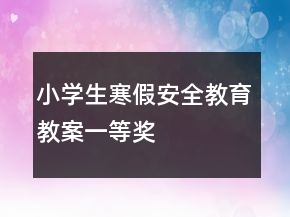小學生寒假安全教育教案一等獎