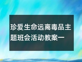 珍愛(ài)生命遠(yuǎn)離毒品主題班會(huì)活動(dòng)教案一等獎(jiǎng)