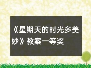 《星期天的時光多美妙》教案一等獎
