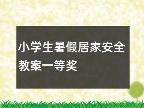 小學(xué)生暑假居家安全教案一等獎(jiǎng)