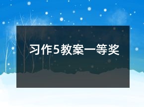 習作5教案一等獎