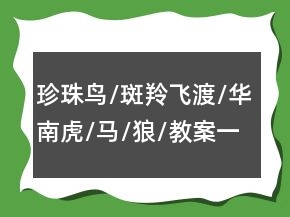 珍珠鳥/斑羚飛渡/華南虎/馬/狼/教案一等獎