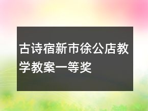 古詩：宿新市徐公店教學教案一等獎