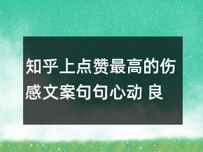 知乎上點(diǎn)贊最高的傷感文案句句心動(dòng) 良辰美景只120句