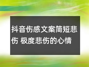 抖音傷感文案簡(jiǎn)短悲傷 極度悲傷的心情短句141句