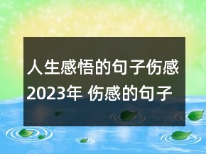人生感悟的句子傷感2023年 傷感的句子帶人生感悟想156句