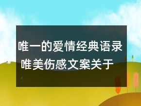 唯一的愛情經(jīng)典語錄 唯美傷感文案關于愛情76句