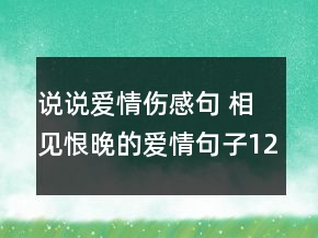 說說愛情傷感句 相見恨晚的愛情句子126句