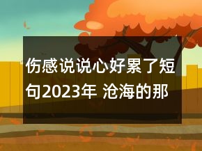 傷感說說心好累了短句2023年 滄海的那一頭早已沒有76句