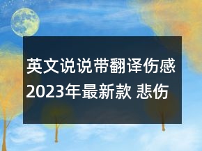 英文說說帶翻譯傷感2023年最新款 悲傷的QQ英文說說134句