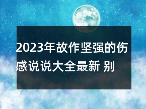 2023年故作堅(jiān)強(qiáng)的傷感說說大全最新 別裝了你并不快81句