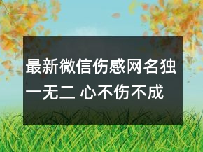最新微信傷感網(wǎng)名獨(dú)一無二 心不傷不成長89句