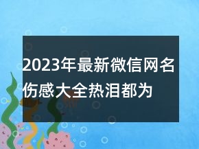 2023年最新微信網(wǎng)名傷感大全熱淚都為你149句