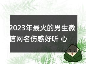 2023年最火的男生微信網(wǎng)名傷感好聽 心滿了又空了130句