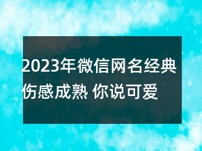 2023年微信網(wǎng)名經(jīng)典傷感成熟 你說可愛是不是可以愛108句