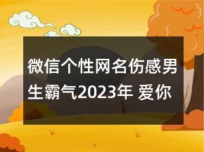 微信個性網(wǎng)名傷感男生霸氣2023年 愛你赴湯蹈火139句