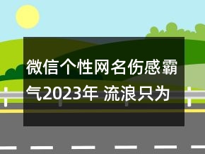 微信個(gè)性網(wǎng)名傷感霸氣2023年 流浪只為尋找你157句