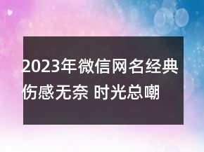2023年微信網(wǎng)名經(jīng)典傷感無奈 時(shí)光總嘲笑我的癡心妄137句