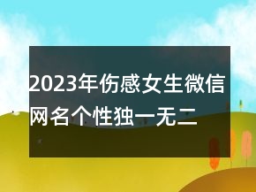 2023年傷感女生微信網(wǎng)名個(gè)性獨(dú)一無二 畢竟我不出眾95句
