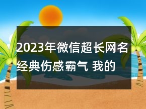2023年微信超長網(wǎng)名經(jīng)典傷感霸氣 我的真心換來你的149句