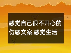 感覺(jué)自己很不開(kāi)心的傷感文案 感覺(jué)生活很喪的難136句