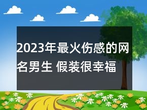 2023年最火傷感的網名男生 假裝很幸福83句