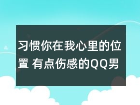 習(xí)慣你在我心里的位置 有點(diǎn)傷感的QQ男生網(wǎng)名79句