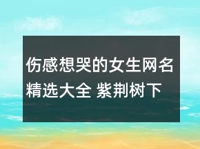 傷感想哭的女生網(wǎng)名精選大全 紫荊樹(shù)下的指甲156句