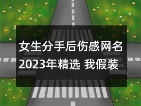 女生分手后傷感網(wǎng)名2023年精選 我假裝放手你卻真走69句