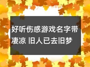 好聽(tīng)傷感游戲名字帶凄涼 舊人已去舊夢(mèng)已逝78句