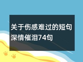 關(guān)于傷感難過的短句深情催淚74句