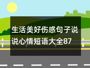 生活美好傷感句子說(shuō)說(shuō)心情短語(yǔ)大全87句
