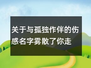 關(guān)于與孤獨(dú)作伴的傷感名字霧散了你走了115句