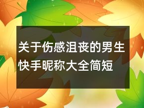 關(guān)于傷感沮喪的男生快手昵稱大全簡短別了那曾66句