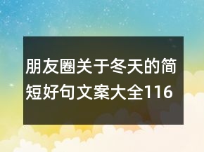 朋友圈關(guān)于冬天的簡(jiǎn)短好句文案大全116句