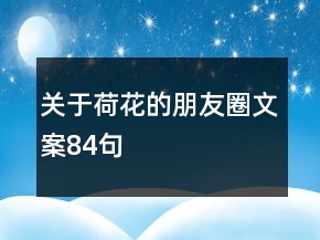 關(guān)于荷花的朋友圈文案84句