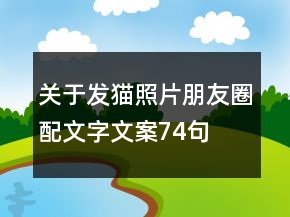 關(guān)于發(fā)貓照片朋友圈配文字文案74句