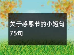 關(guān)于感恩節(jié)的小短句75句