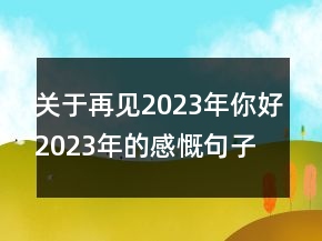關(guān)于再見2023年你好2023年的感慨句子短語124句