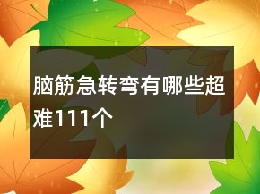 腦筋急轉(zhuǎn)彎有哪些超難111個(gè)